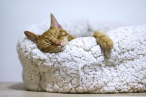 Les bienfaits de 10 minutes de détentes par jour